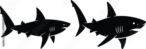 Shark silhouette set isolated on white background, black great white shark vector illustration collection for marine wildlife, ocean life and predator design
