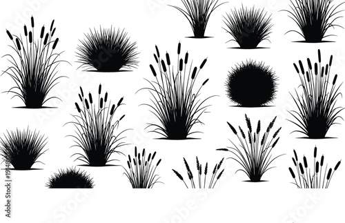 Wild grass silhouette vector set with reeds and bushes, black botanical nature elements for landscape design, ecology illustrations, logos, and decorative backgrounds