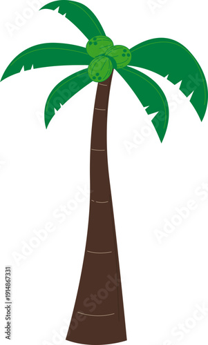 Hand Drawn Coconut Illustration