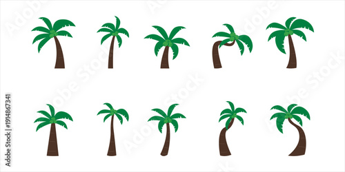 Hand Drawn Coconut Illustration