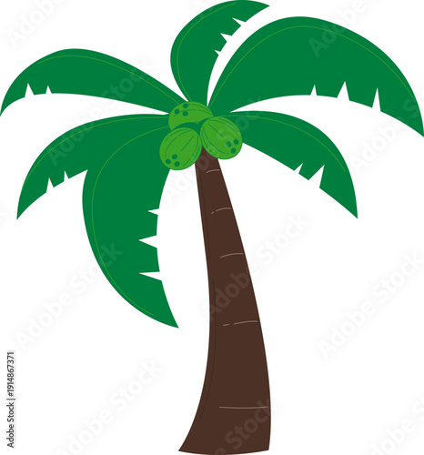 Hand Drawn Coconut Illustration