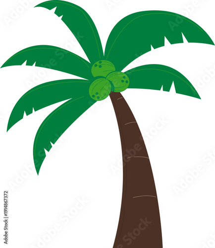 Hand Drawn Coconut Illustration