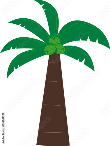 Hand Drawn Coconut Illustration