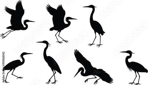 Heron silhouette collection vector illustration, black wading birds in flying and standing poses isolated on white background, wildlife nature design set