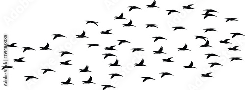 Flying birds flock silhouette vector illustration, black migratory bird group in sky formation isolated on white background, wildlife nature design element