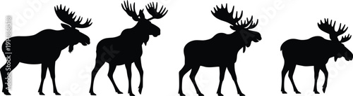 Moose silhouette set vector illustration, black antlered elk wildlife animals isolated on white background, majestic forest mammal collection design elements