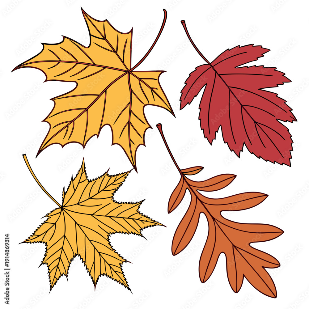 Fototapeta premium Seasonal leaves in various shapes and colors