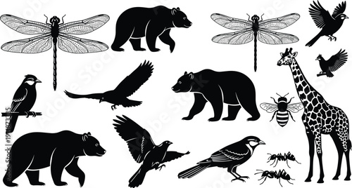 Wildlife animal silhouettes set, birds insects mammals collection isolated on white background vector illustration design