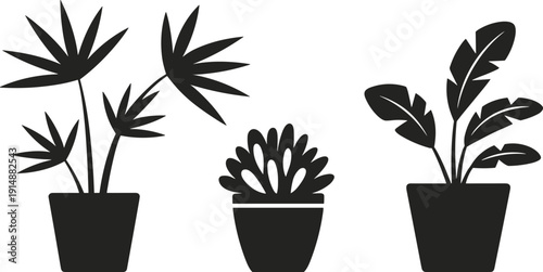 Potted tropical plant silhouettes collection with leafy houseplants and succulent flower pot, black botanical icons isolated on white background
