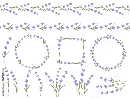 Lavender collection includes flowers, frames, borders and frames. Aromatic Provence flowers set. Vector graphics