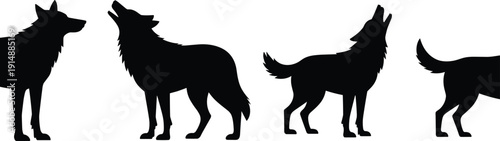 Black silhouette of wolves howling and standing set, wild predator animals in different poses, nature wildlife and forest life concept.