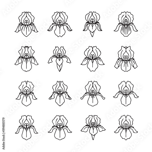 Iris Flower Line Art Set - Minimalist Botanical Illustrations