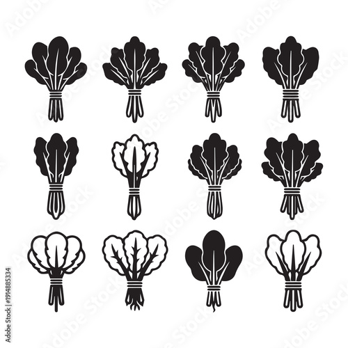 Leafy Greens Collection Icon Set Graphic Design Stock Media