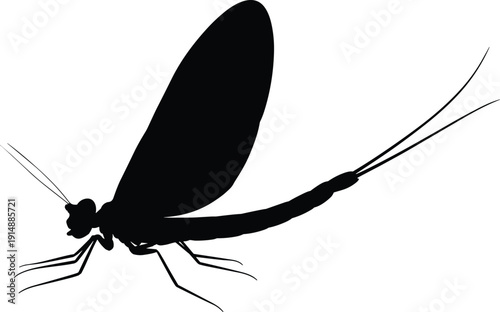 Detailed black silhouette of a mayfly insect with large wings and long tails, perfect for biology, nature, and fishing designs.