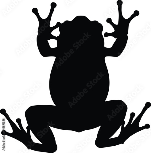 Black silhouette of a frog isolated on a white background, top view of a toad, amphibian icon for nature and wildlife design projects, vector.