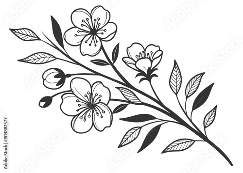 Contemporary botanical graphic illustration, dainty micro tattoo design, soft floral motifs, monochrome vector style 2