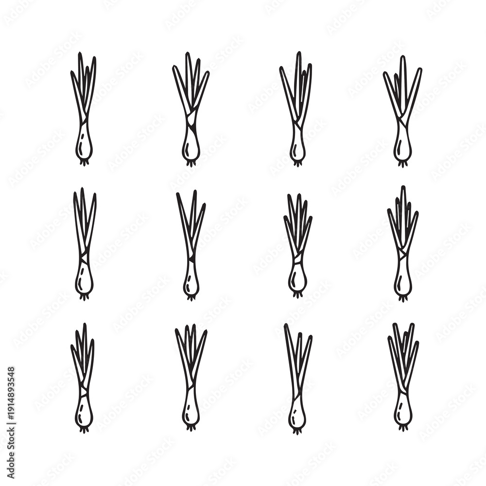 Obraz premium Scallion illustrations, pattern, white background, minimalist, hand-drawn style