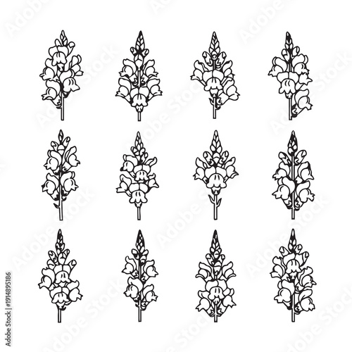 Snapdragon Flowers Set Line Art Vector Illustration Isolated On White Background