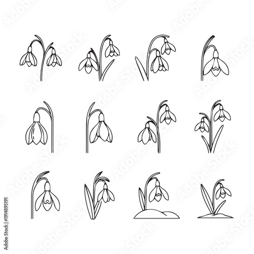 Snowdrop Flower Line Art Collection - Spring Blossom Illustrations