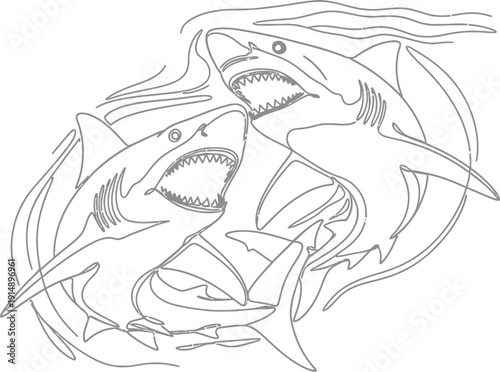 Continuous line art illustration of two aggressive great white sharks circling in turbulent ocean water symbolizing aquatic predator danger