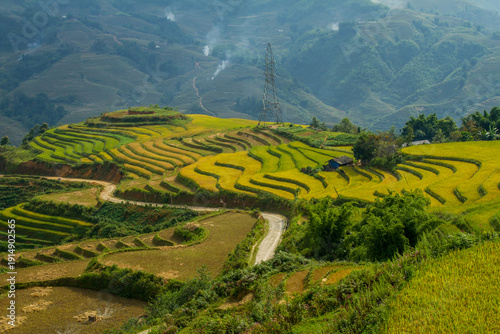 Rice fields on terraced in rainny season at Mu Cang Chai, Yen Bai, Vietnam. Rice fields prepare for transplant at Northwest Vietnam