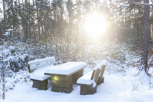 Snowy bench in nature park Dübener Heide, Germany