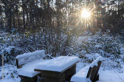 Snowy bench in nature park Dübener Heide, Germany