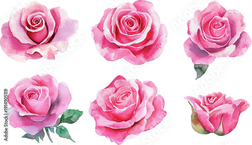 Wallpaper Mural set of pink roses Torontodigital.ca