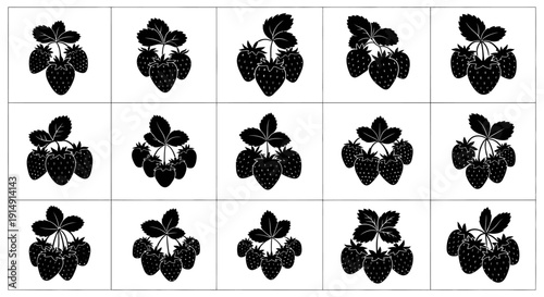 Blackberry silhouettes in grid pattern on white background for design and decoration