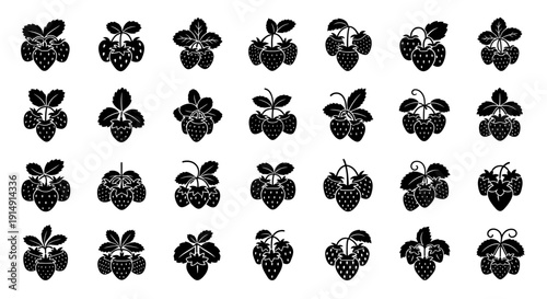 Set of blackberry icons fruit symbols and berry illustrations on white background for design and decoration purposes
