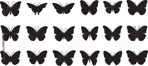 Vector file graphic design element with clean typography on a white background for digital use