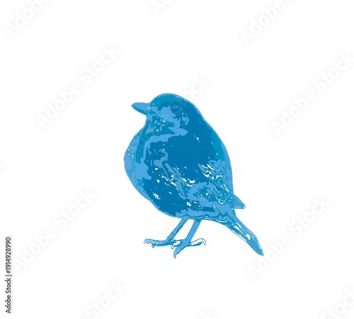 blue bird on a branch