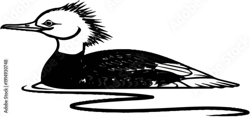 A black and white illustration of a duck with a crested head floats on water