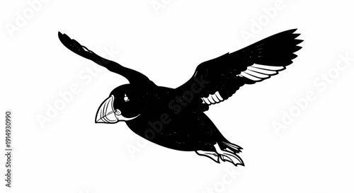 A black and white illustration of a puffin in flight with wings spread
