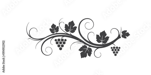 Decorative Grapevine Flourish Vector Illustration with Leaves and Grapes, Elegant Vintage Ornament Design