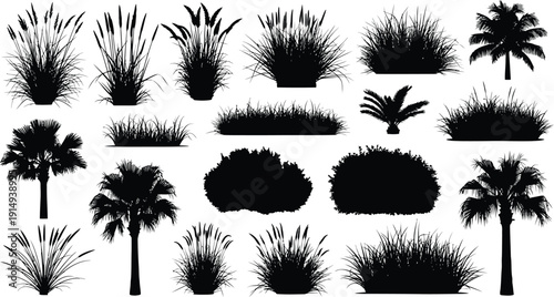 Various tropical plants and grasses depicted in a dark striking silhouette