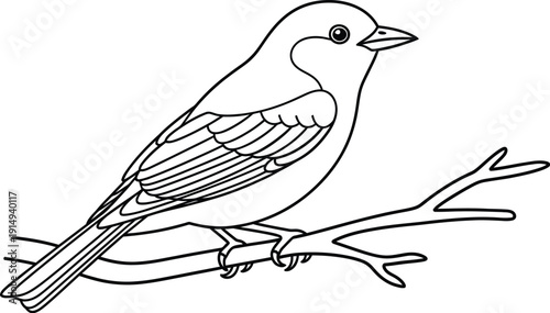 Simple black and white outline drawing of a small songbird perched securely upon a bare tree branch ready for coloring activities.