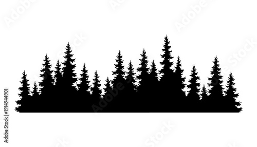 Fir trees silhouette. Coniferous spruce horizontal background pattern, black evergreen woods vector illustration. Beautiful hand drawn panorama of coniferous forest