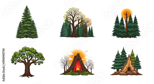 Vibrant forest landscapes with diverse trees and natural scenery