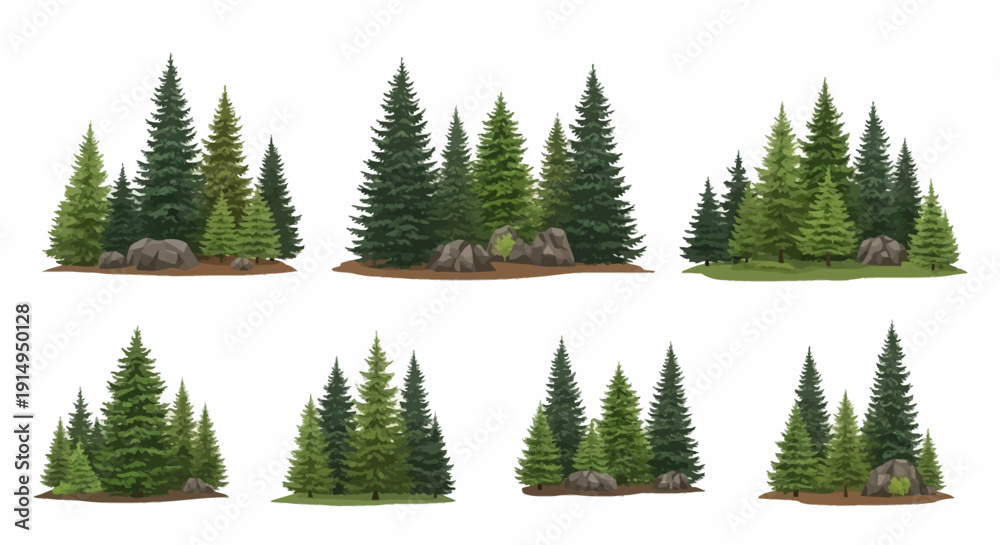 Obraz premium Evergreen forest landscape with pine trees and rocks