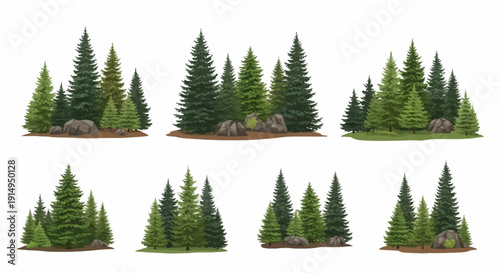 Evergreen forest landscape with pine trees and rocks