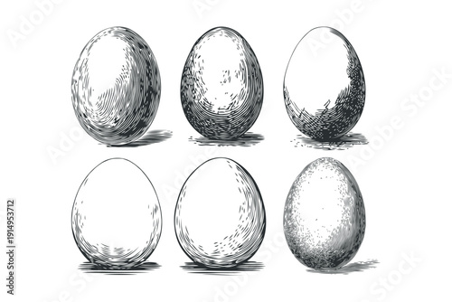 Six eggs illustrated in hand-drawn engraving style, shown in black and white on a clean white background, concept of vintage food art