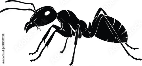 Profile silhouette of a powerful black ant with large mandibles isolated.