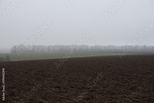Foggy agricultural field with plowed soil and distant trees, minimal rural landscape