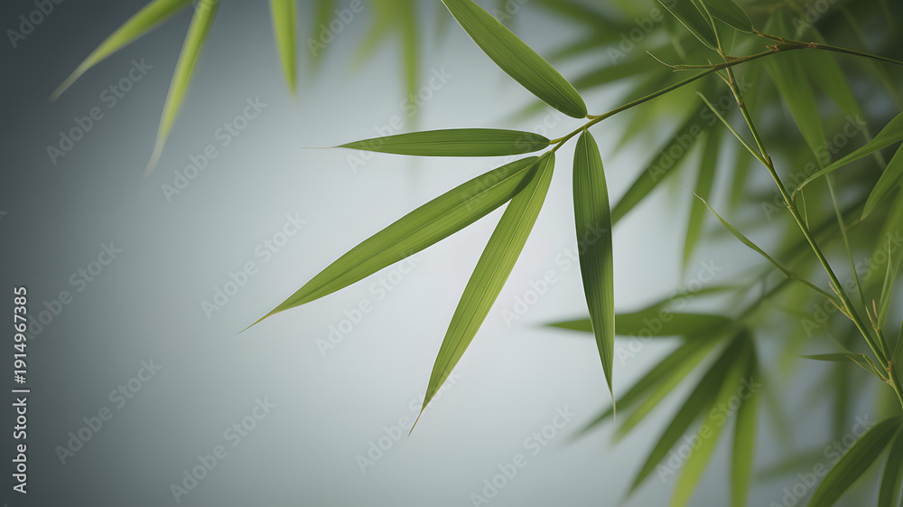 Fototapeta premium Elegant Bamboo Leaves Close-Up: Serene Green Foliage Against a Soft, Minimalist Background for Asian-Inspired Design