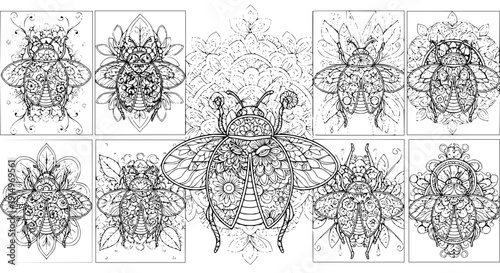 Ladybug Mandala Coloring Page Vector Set with Floral Patterns for Kids and Adults