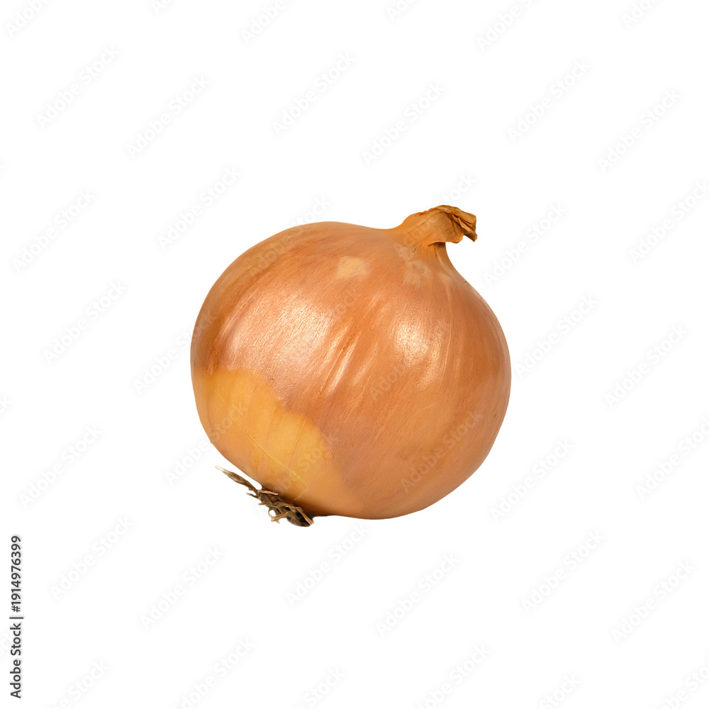 custom made wallpaper toronto digitalOne fresh raw whole onion on a white background. Unpeeled onion.