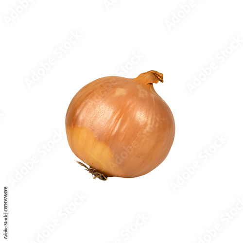 Wallpaper Mural One fresh raw whole onion on a white background. Unpeeled onion. Torontodigital.ca