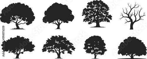 Tree silhouette collection set, detailed oak and leafy trees with bare branches, black vector illustration isolated on white background