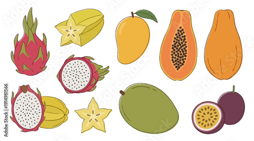Hand Drawn Exotic Fruit Illustrations d flat vector isolated white background